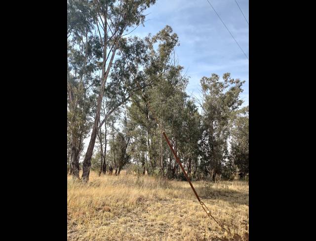16HA VACANT LAND FOR SALE IN WALKER FRUIT FARMS